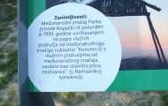 DSCF6580