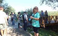 DSCF6587