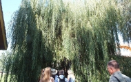 DSCF6589