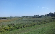 DSCF6591