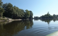 DSCF6600