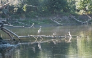 DSCF6602