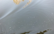 DSCF6604