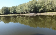 DSCF6608