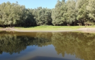 DSCF6610