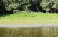 DSCF6611
