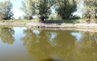 DSCF6613