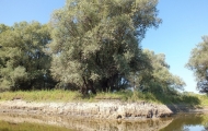 DSCF6614