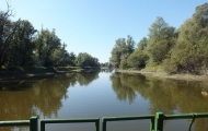 DSCF6616