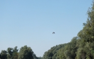 DSCF6618