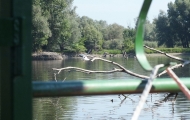 DSCF6622