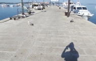 dscf0285