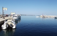 dscf0287