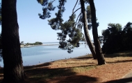 dscf0316