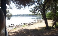 dscf0317