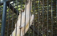 dscf0345