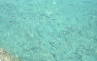 dscf0355