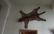 dscf0364