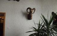 dscf0365