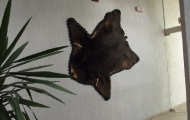 dscf0366