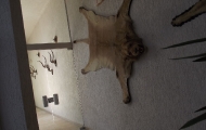 dscf0367