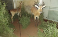 dscf0378