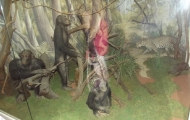 dscf0381