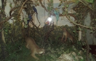 dscf0390