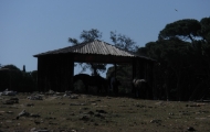 p6220039