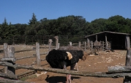 p6220041
