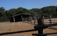 p6220042