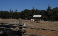 p6220043