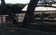p6220044