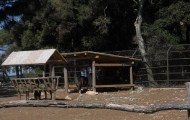 p6220046