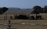 p6220048
