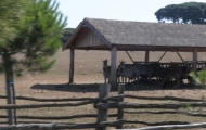 p6220050