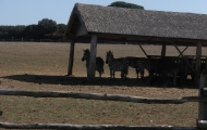 p6220051