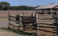 p6220054