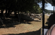 p6220077