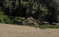 p6220085
