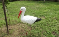 dscf1214