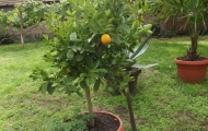 dscf1215