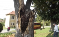 dscf1246
