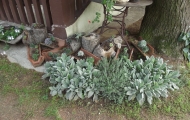 dscf1249