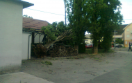 fotografija0106