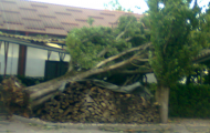 fotografija0107