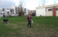 DSCF2509