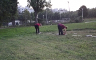 DSCF2847